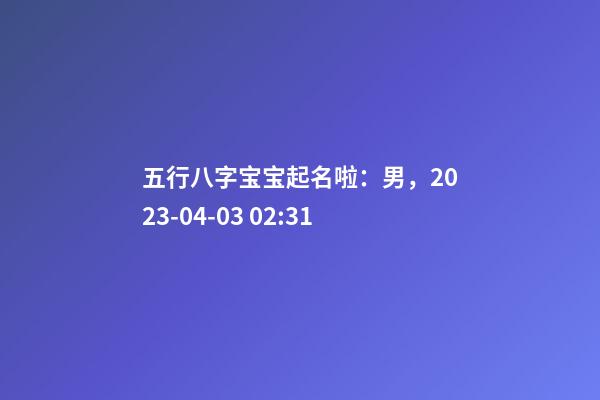 五行八字宝宝起名啦：男，2023-04-03 02:31